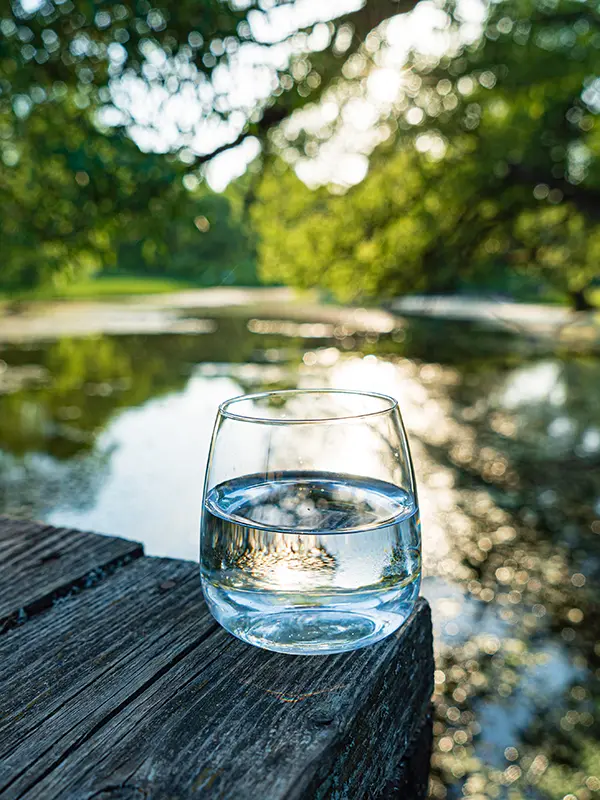 Glas Wasser in der Natur